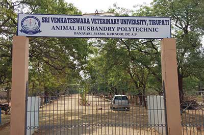 Sri Venkateswara Veterinary University | శ్రీ వెంకటేశ్వరా పశువైద్య  విశ్వవిద్యాలయం, తిరుపతి
