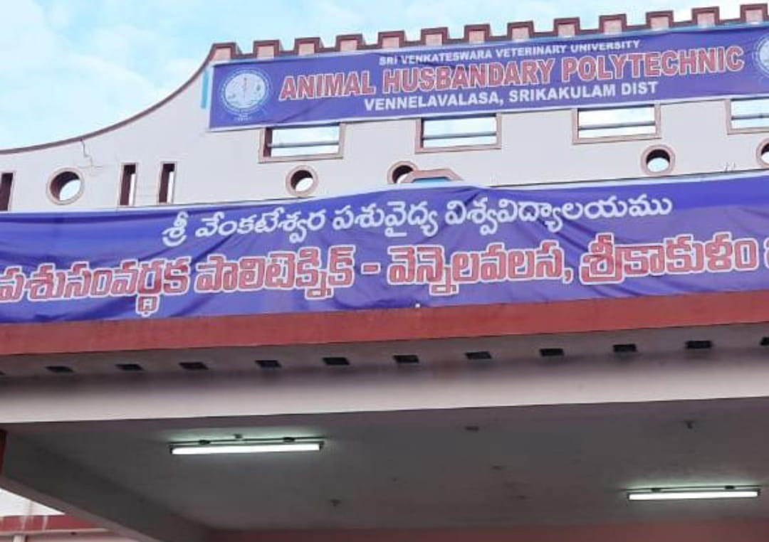 ahp-vennelavalasa